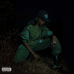 Back to the Woods by Angel Haze