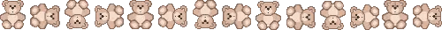 Bear Divider