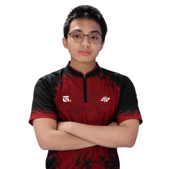 ZYRUS, Developer