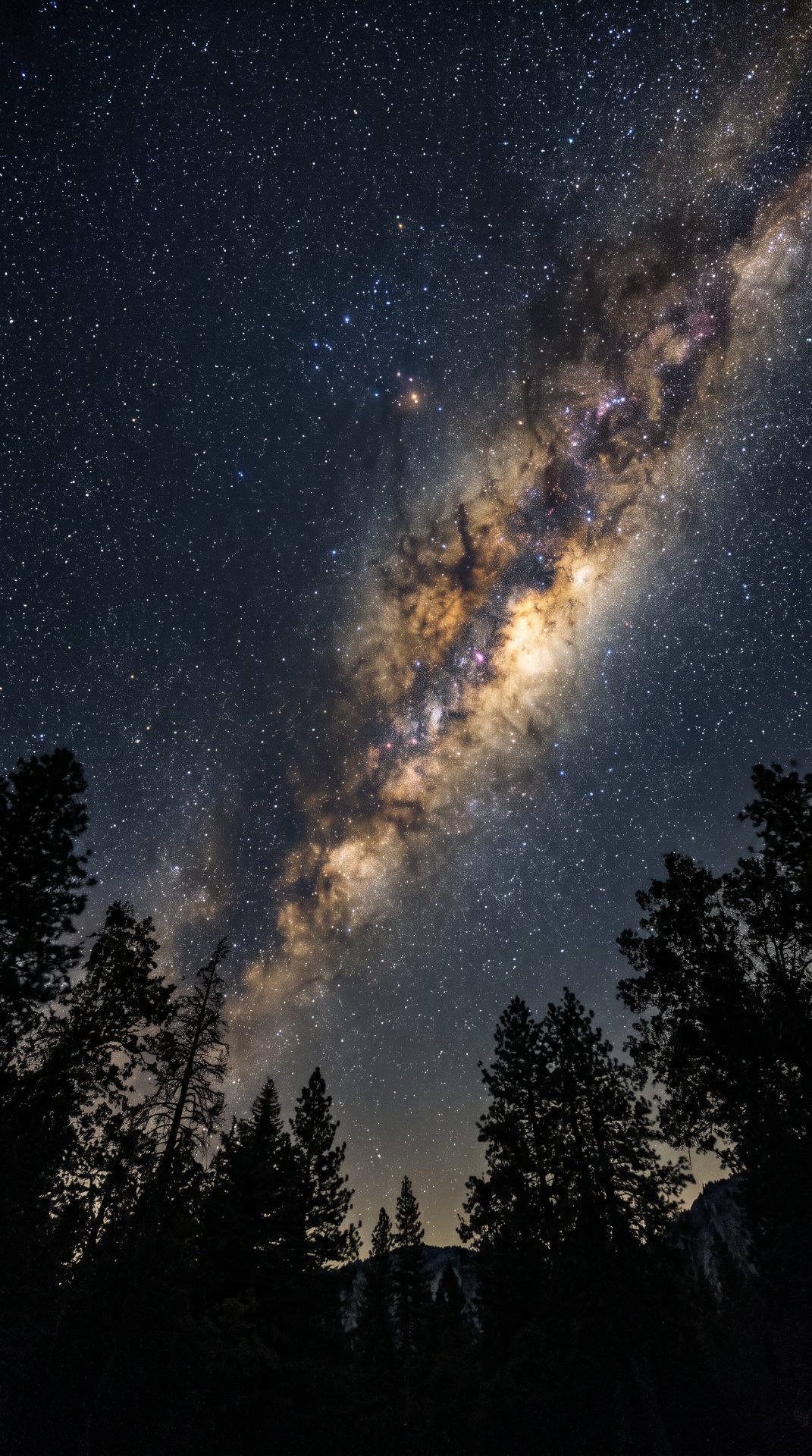 Milky Way Galaxy Over Pine Forest