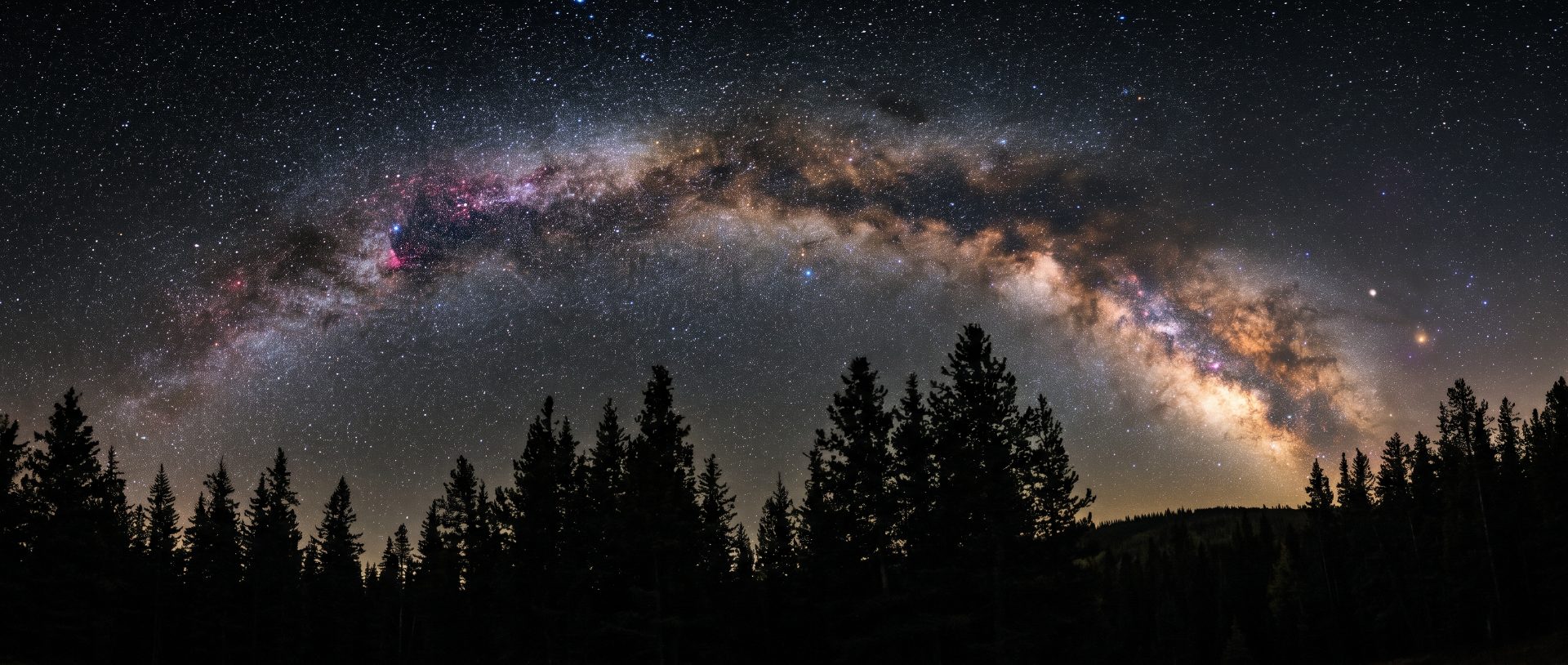 Starlit Night Over Evergreen Forest