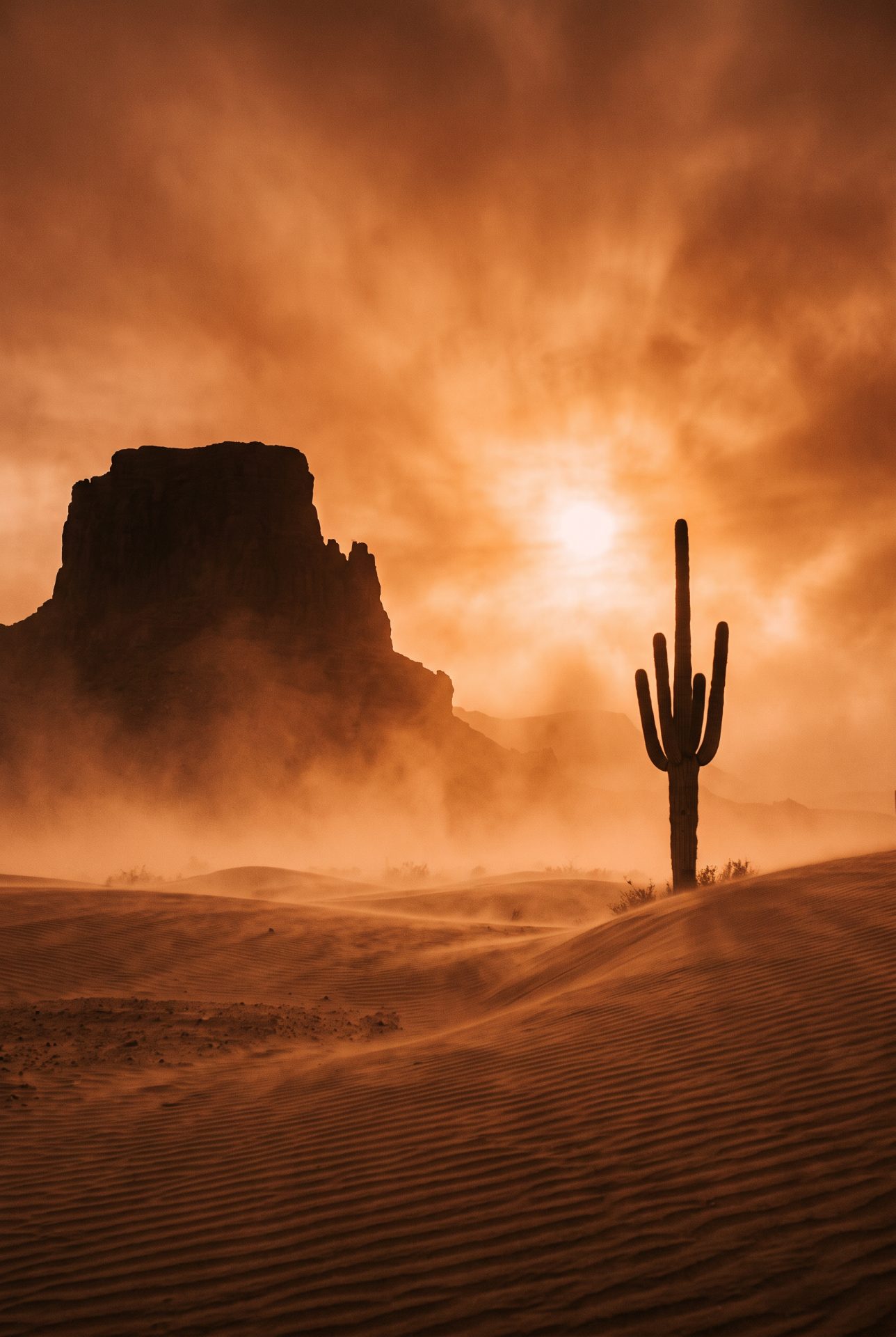 Desert Sandstorm Sunset Landscape