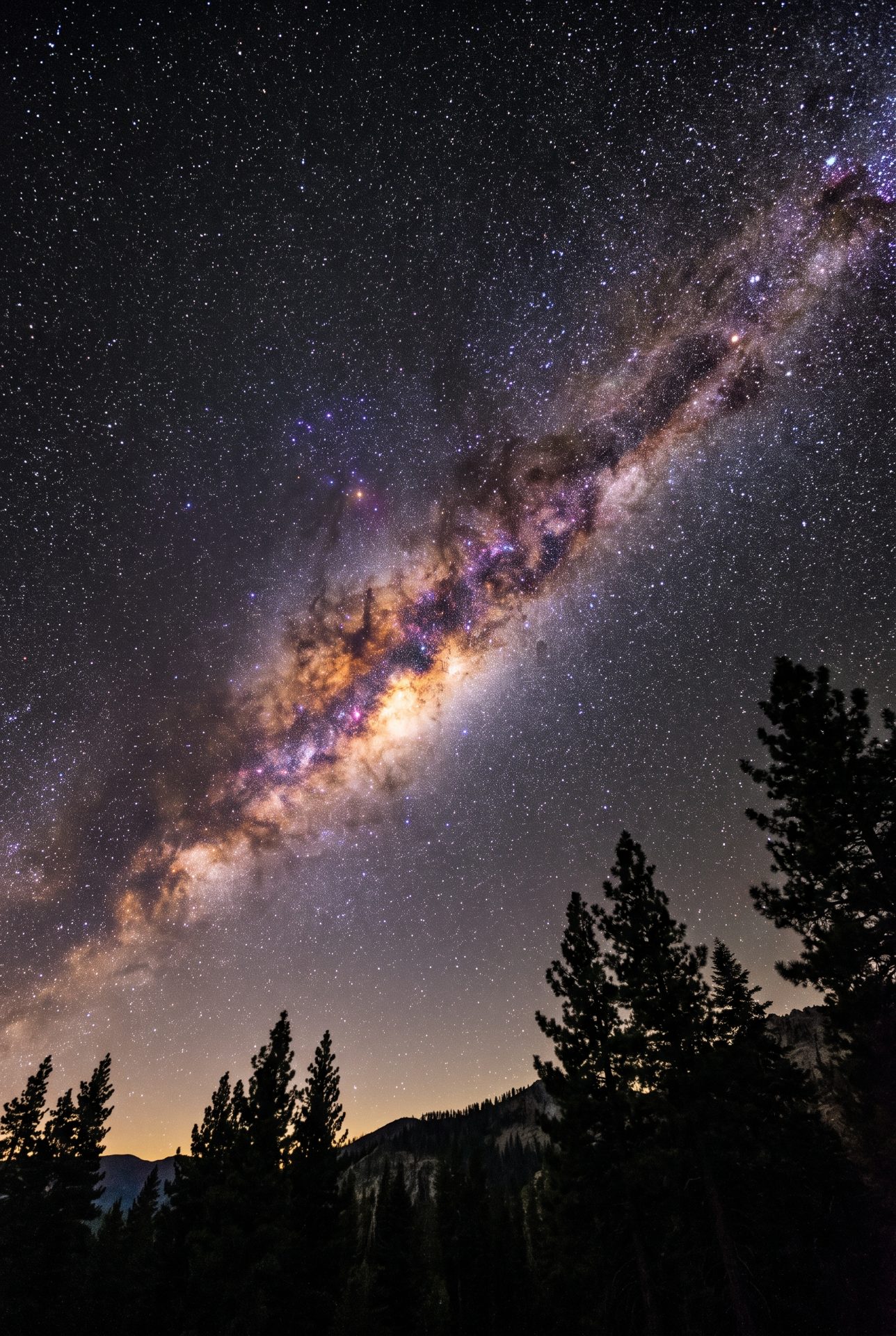 Milky Way Over Pine Forest