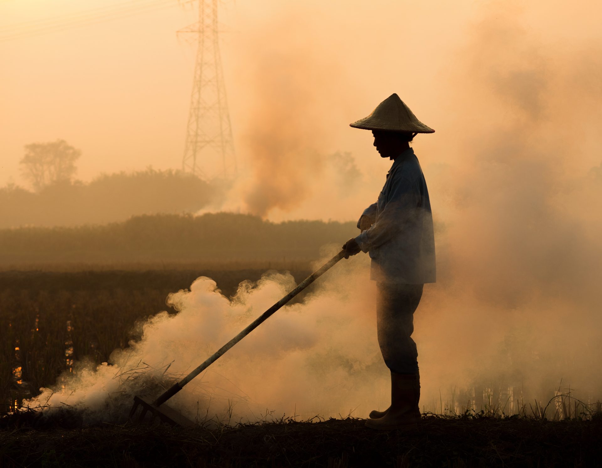 Farmer in Smoky Morning Mist