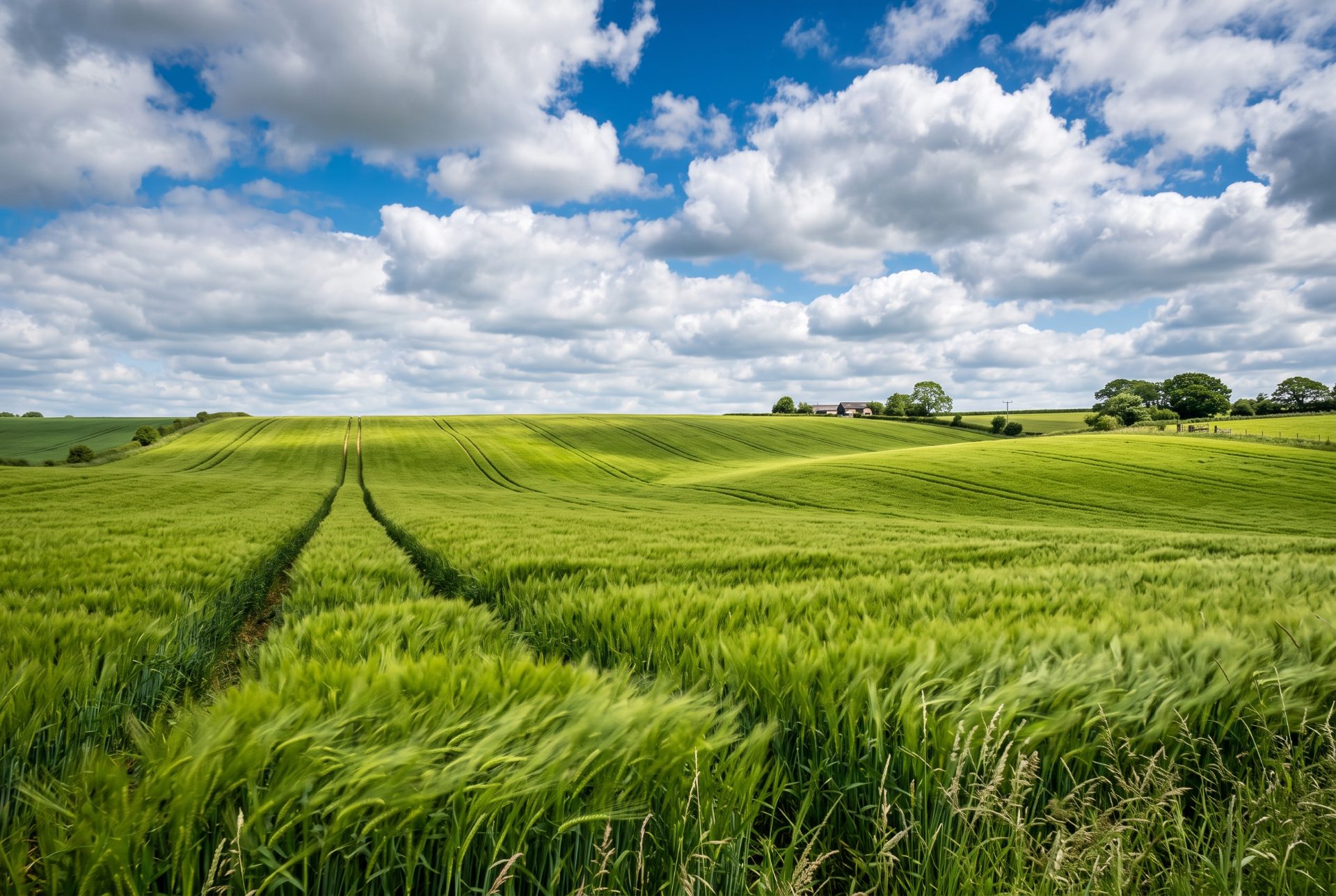 Rolling Green Fields Under Clouds