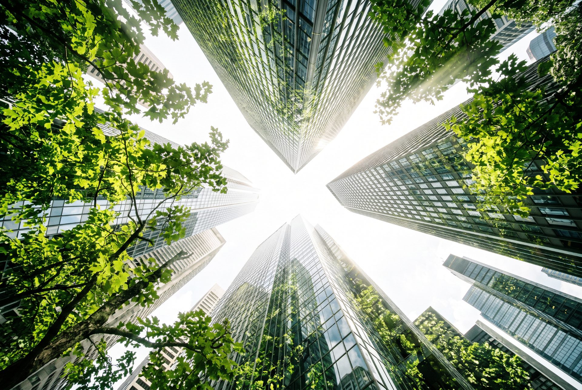 Verdant Metropolis Upward View