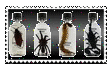 Specimens