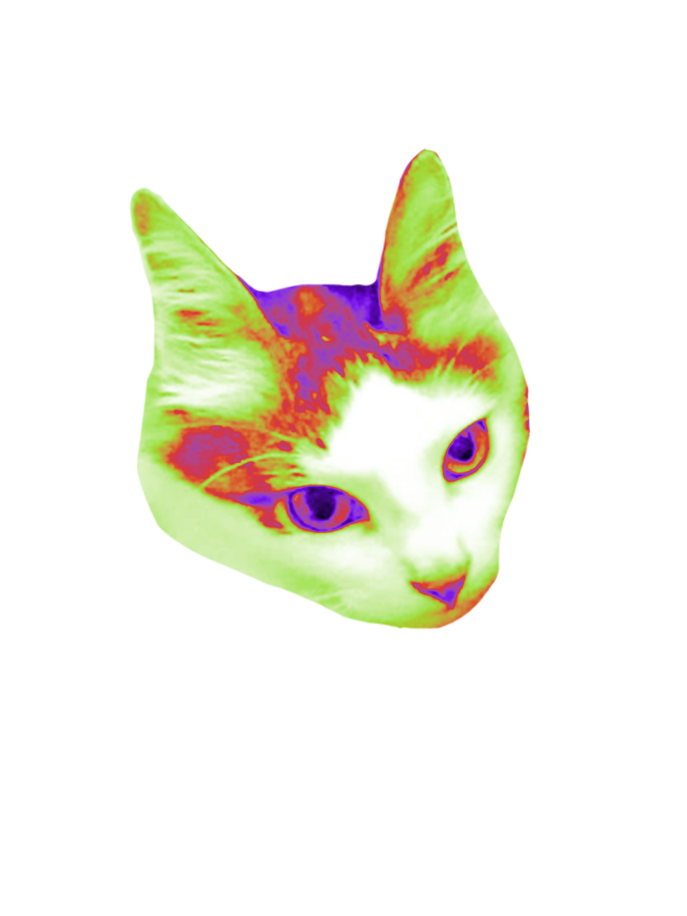 little buge