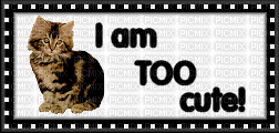 Click Me